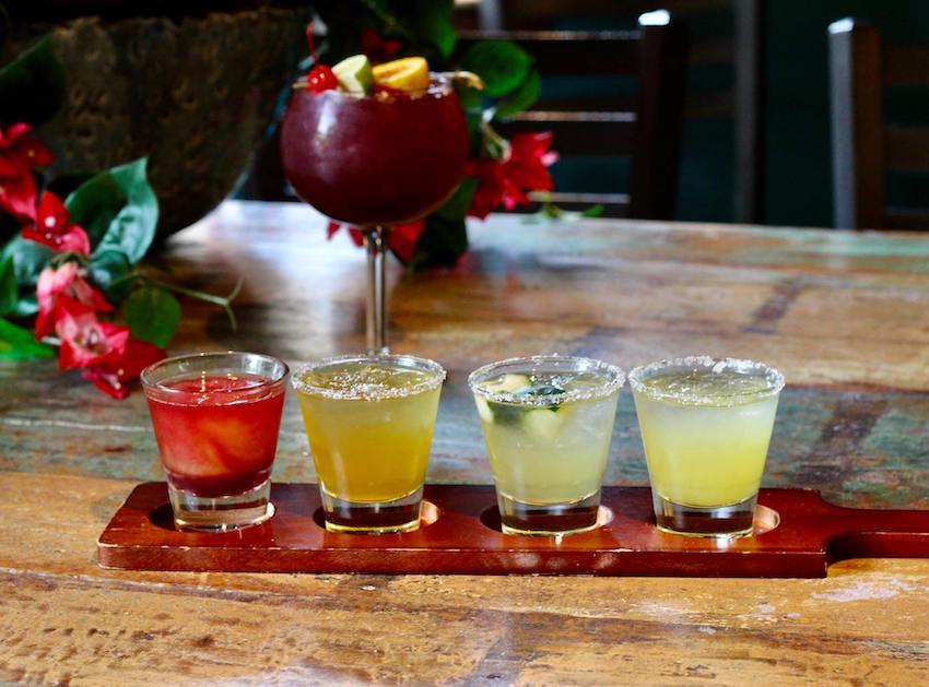 Margarita or Tequila Flight at Blue Agave Grill Fort Collins, CO