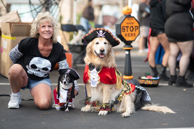 NoCo Weekend Events Oct 24-26