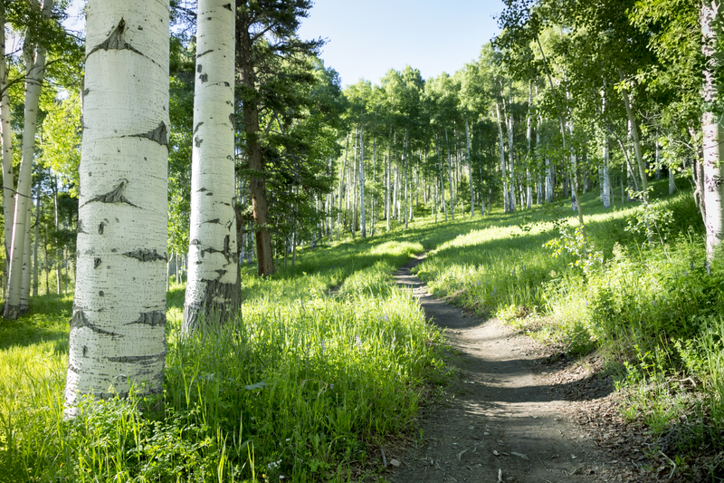 Signs It’s Time to Turn Back on the Trail in Northern Colorado