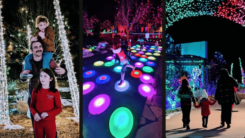 What to Do This Weekend in Northern Colorado Dec 26–28