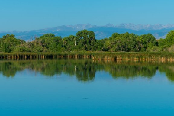 Things to do in Mead Colorado 2026