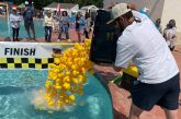What to Do This Weekend in NoCo: August 28th-30th