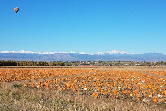 Northern Colorado Apple Orchards And Pumpkin Patches 2026