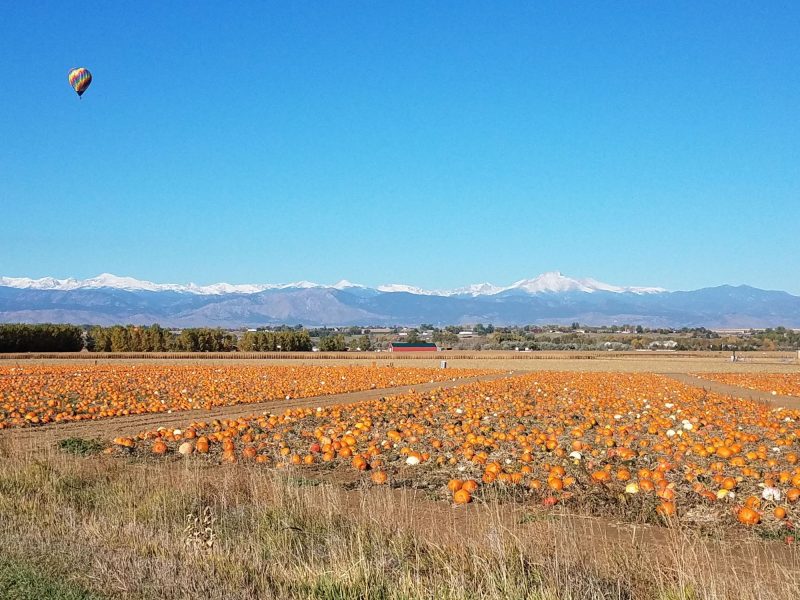 Northern Colorado Apple Orchards And Pumpkin Patches 2026