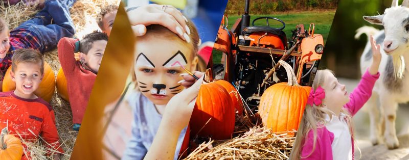 What To Do This Weekend In Northern Colorado October 2-4 2026