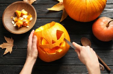 Things To Do In Northern Colorado This Weekend October 30th-November 1st 2026