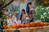 Things To Do In Northern Colorado This Weekend October 23-25 2026