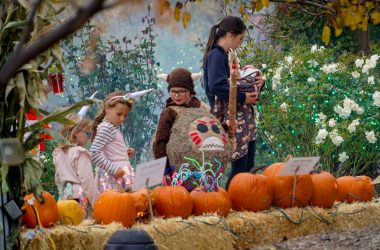 Things To Do In Northern Colorado This Weekend October 23-25 2026