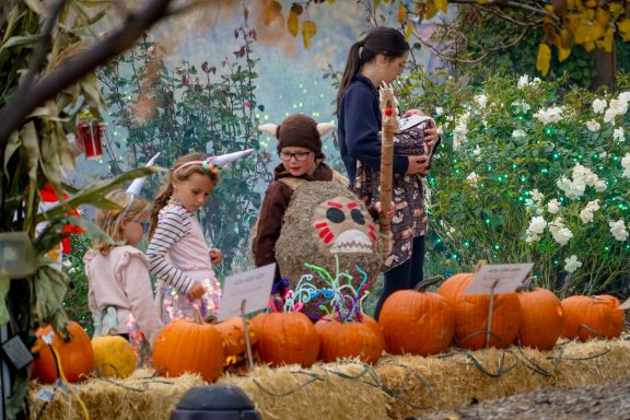 Things To Do In Northern Colorado This Weekend October 23-25 2026