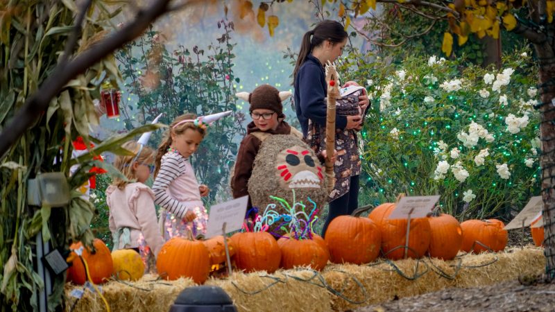 Things To Do In Northern Colorado This Weekend October 23-25 2026