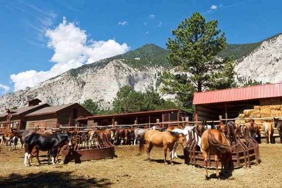 Northern Colorado Historic Ranches 2026
