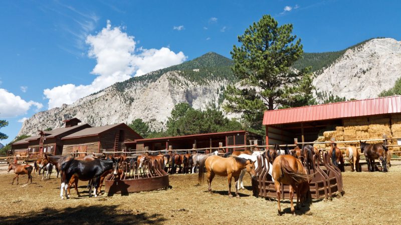 Northern Colorado Historic Ranches 2026
